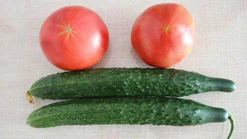 西红柿最新吃瓜,揭秘网红食材背后的秘密