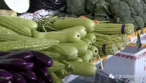 吃奄瓜中毒,警惕夏日常见食物隐患