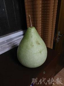 盐城吃瓜图片大全,吃瓜图片大全带你领略地方特色