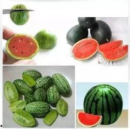 蓝遇吃瓜,揭秘娱乐圈背后的那些事儿