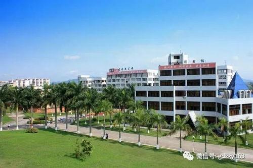 罗定职业技术学院吃瓜,揭秘校园“吃瓜”文化现象