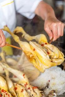 一天只吃网红鸡瓜,一餐之选，健康美味新体验