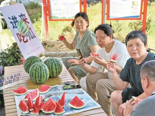 宁波北仑吃瓜图,夏日街头美食风情