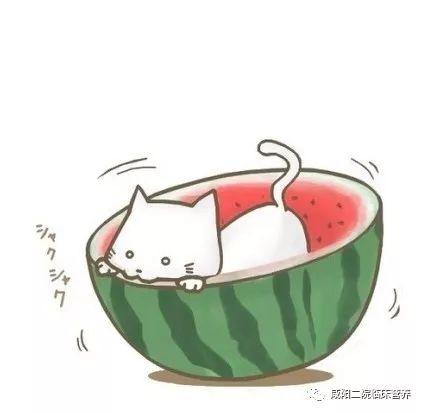 动画土肥圆吃瓜