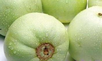 梦见吃籽瓜又吃甜瓜,籽瓜与甜瓜的甜蜜邂逅