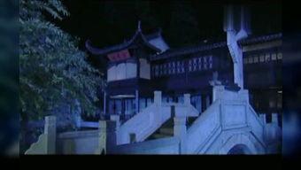 仙女吃瓜联盟,揭秘娱乐圈幕后故事