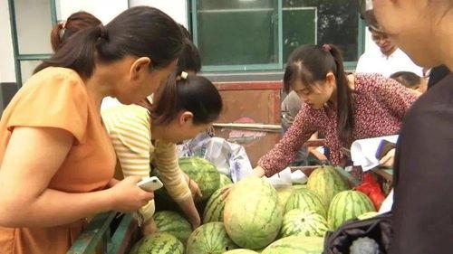 村里直播吃瓜,揭秘乡村生活新风尚