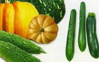 伞下吃瓜,夏日纳凉新风尚