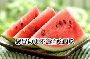 看合适不 吃瓜,理性看待网络舆论，守护心灵净土