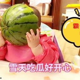 带你吃瓜爆笑玩具,揭秘“带你吃瓜爆笑玩具”的欢乐奥秘