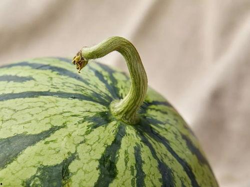 上海仁济吃瓜,吃瓜群众围观下的医疗奇迹