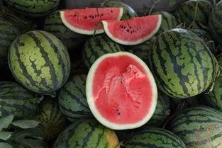 吃瓜几块钱瓜,几块钱就能吃到的夏日美味