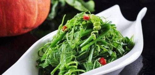 佛手瓜吃藤,从藤蔓到餐桌的绿色奇迹