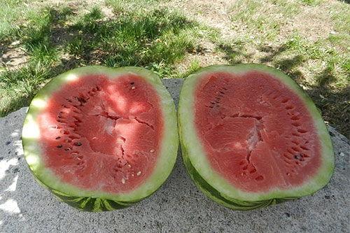 梦见他人给我瓜吃,揭秘瓜食梦境的寓意与启示