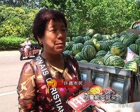 岛城吃瓜群众,揭秘网络热点的幕后故事