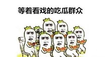 小说吃瓜群众写法,揭秘娱乐圈背后的真相与笑料
