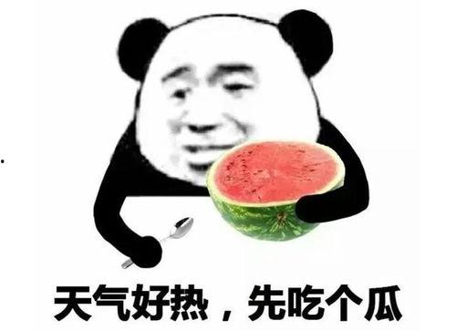 吃瓜会员证表情包,揭秘网络表情包背后的趣味与潮流